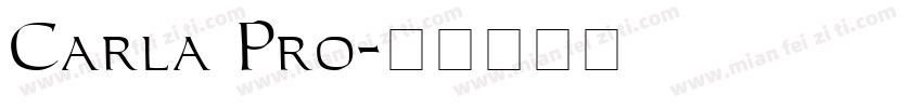 Carla Pro字体转换